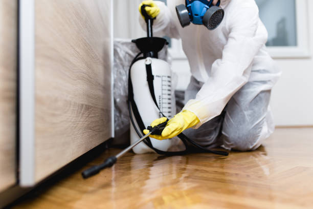 Best Commercial Pest Control Services  in Rayville, LA