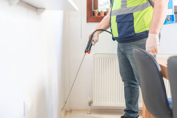Best Affordable Pest Control Services  in Rayville, LA